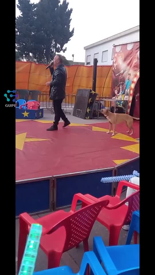 Luketa con suo fratello 🤣🤣