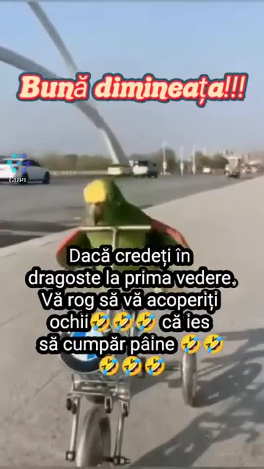 Bună dimineața ☕😍
