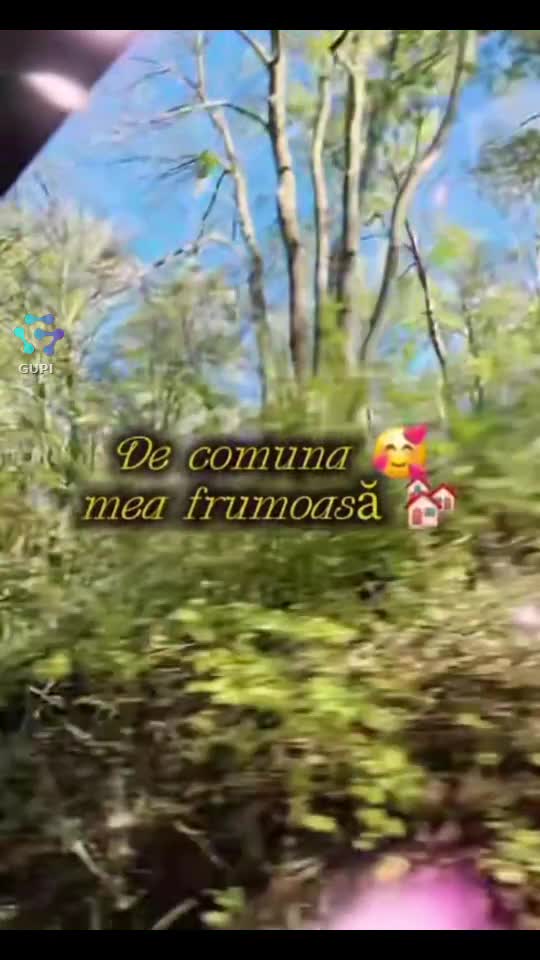 #🦋💙