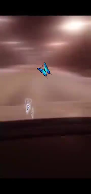 #🦋💙