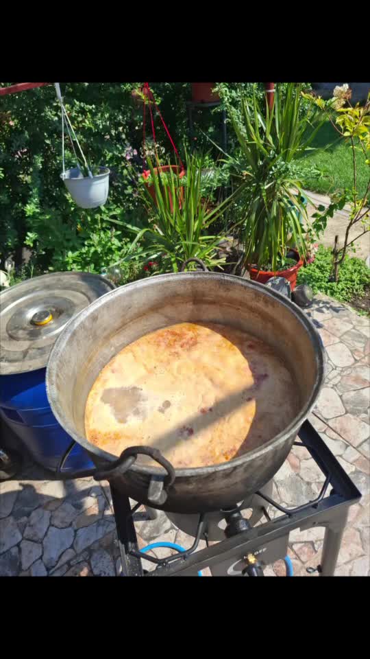 Prea bun, prea ca la țară! 🤗