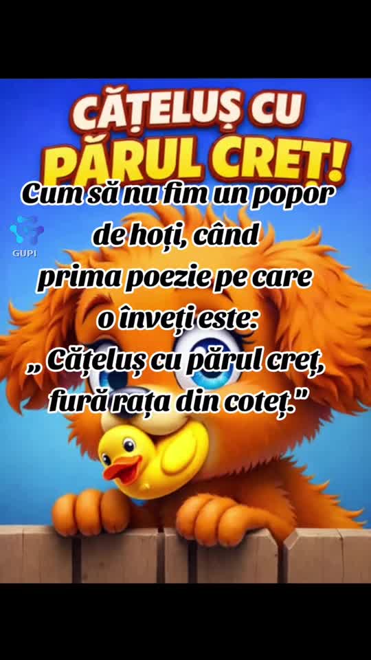 cățeluș cu părul creț...😁😁😁