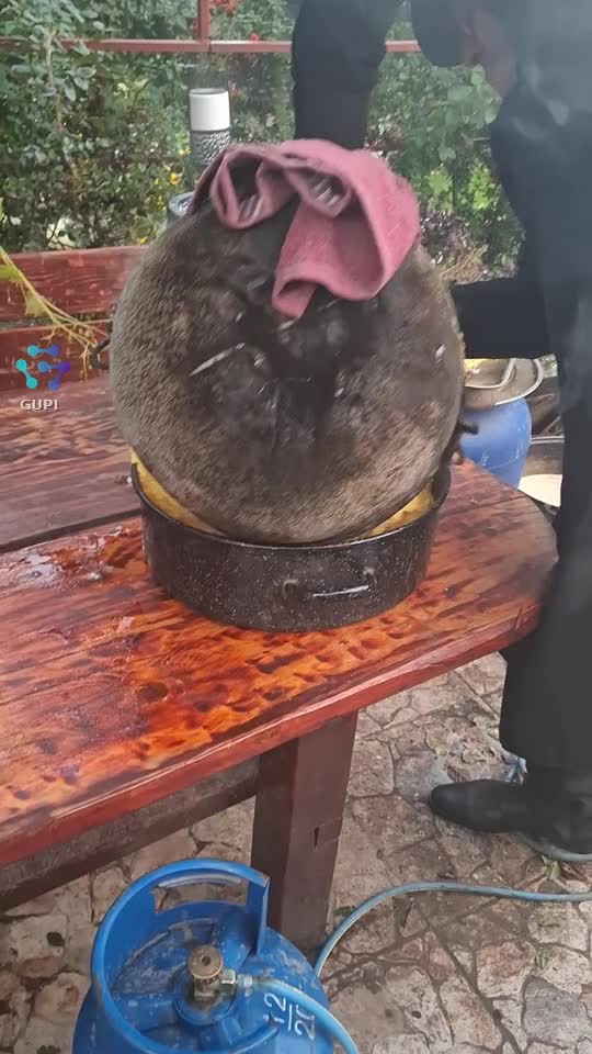 Mamaliga!👏