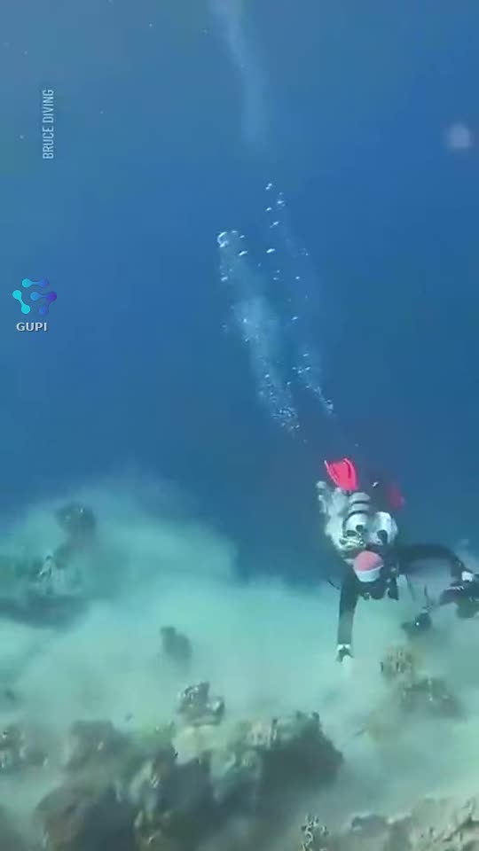wow 😯