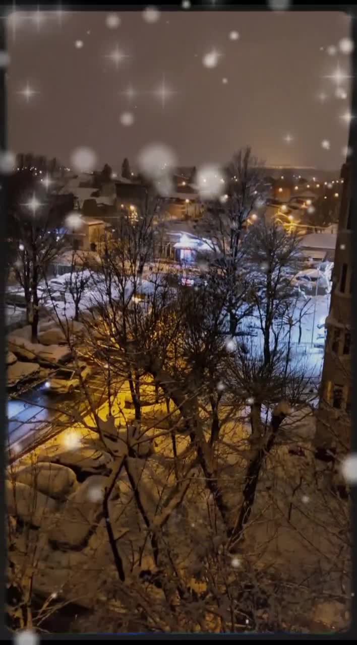 # 🦋 #❄️❄️❄️