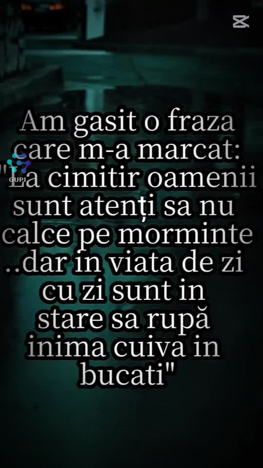 Original Sound - Camelia