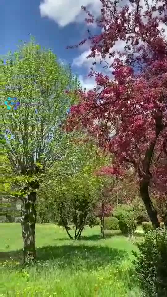 ❤💛💙