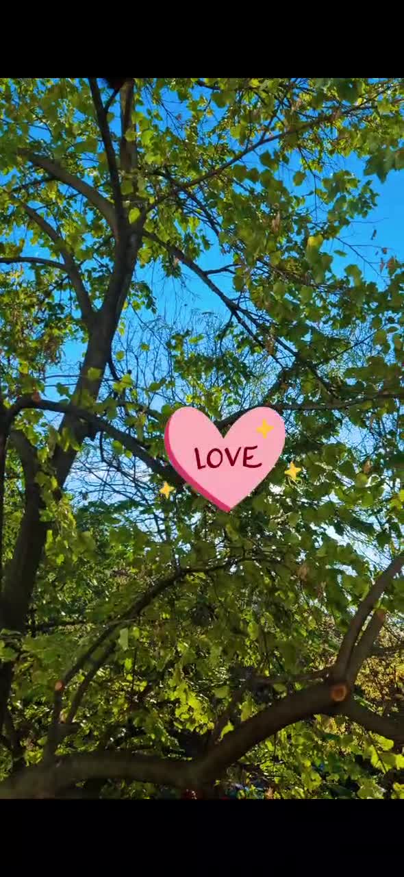 # 🦋 
 # viata #❤️