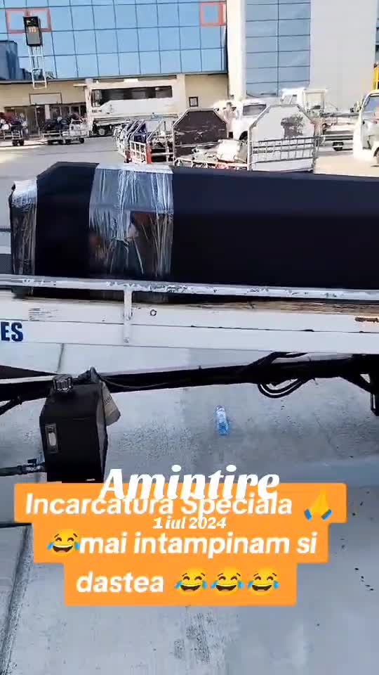 Sa mă vezi mort daca mă urc in cala sa asigur sicriul 😂😂😂😂😂
