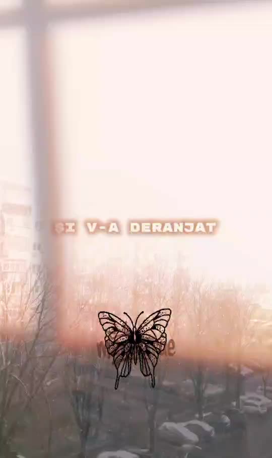 #🦋💙