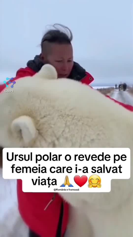 👍🤔