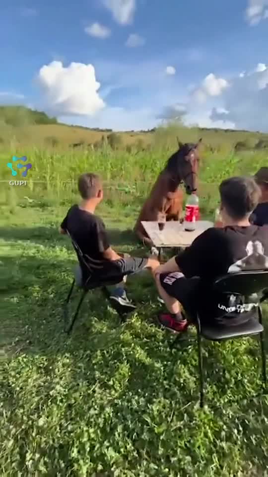 Video de @gupiuser290127