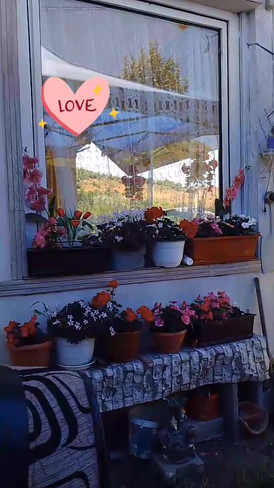 ,❤️❤️