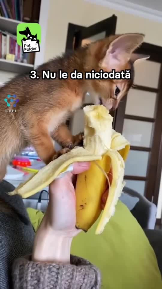 🤔