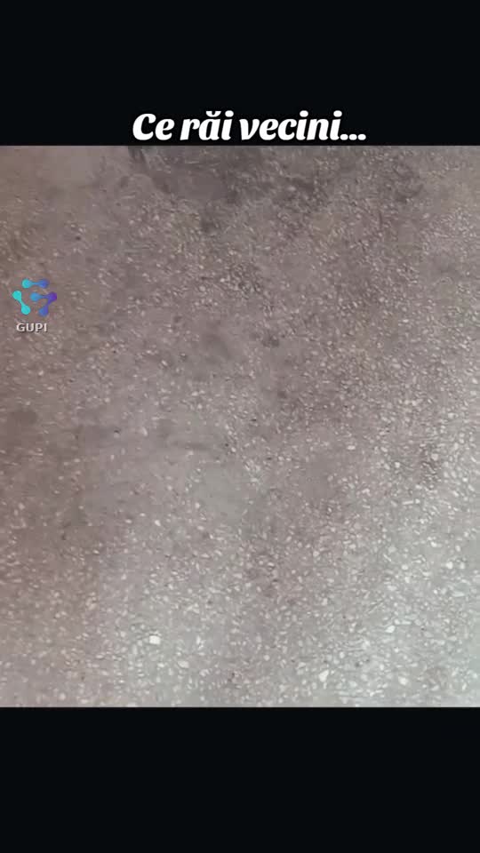 ce răi vecini... băi,nu mai sunați la poliție...vecina trăiește...😁😁😁