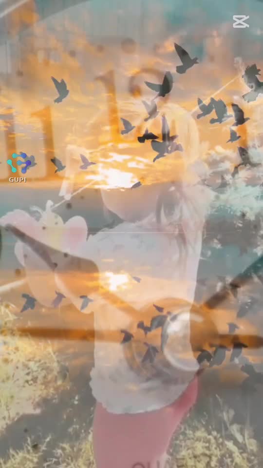 Video de @gupiuser248570