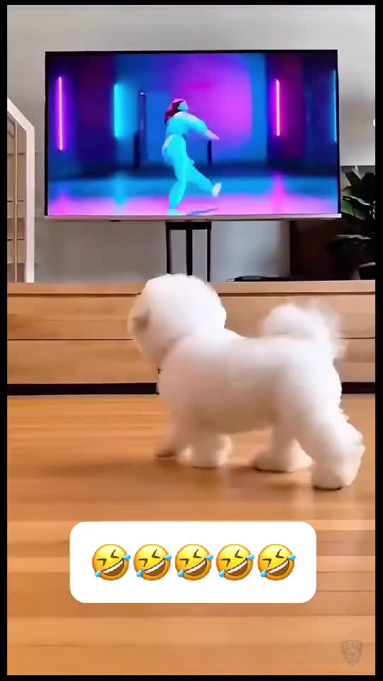 🤣