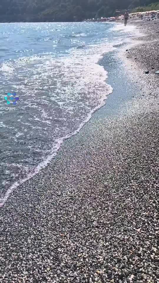 |||{"overlays":[{"text":"Între un meci și un concurs, îmi încarc bateriile!","x":0.09047691470286887,"y":0.7972684226723366,"fontSize":26.0,"color":4294967295,"isEmoji":false}]}