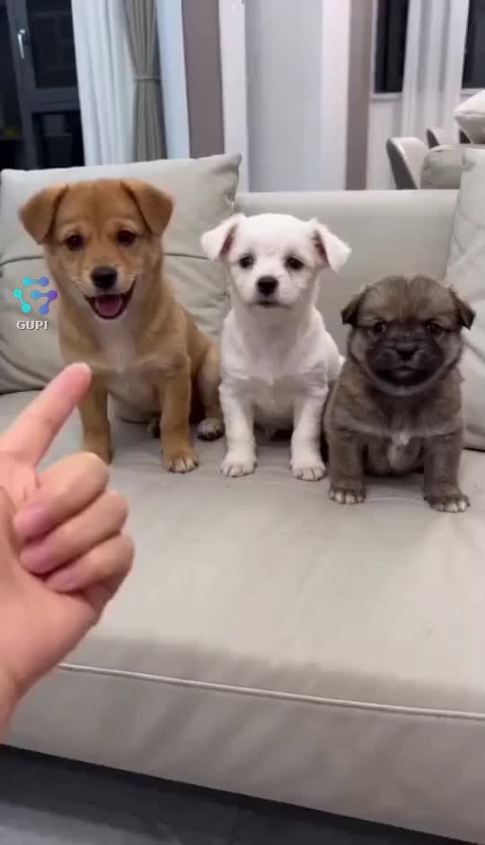 🤣🤣