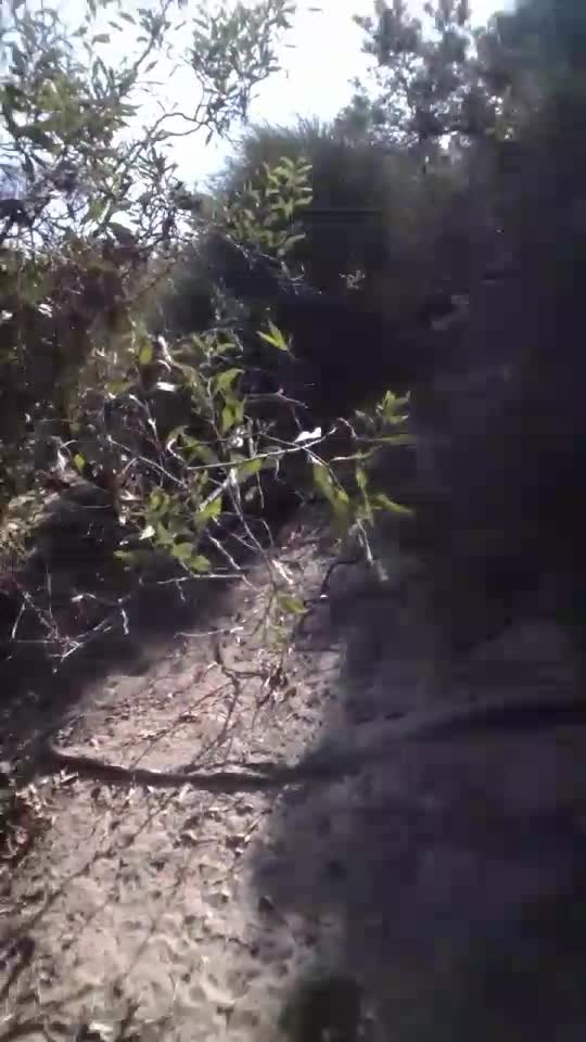 sunt  in padrea naturala