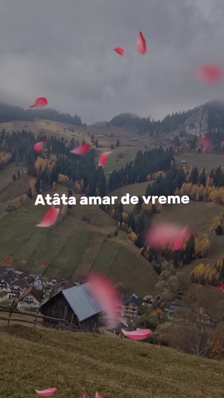 # 🦋  
#❤️