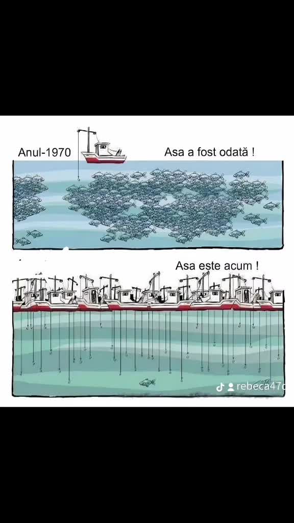Trist dar adevărat 🤙🤙🤙