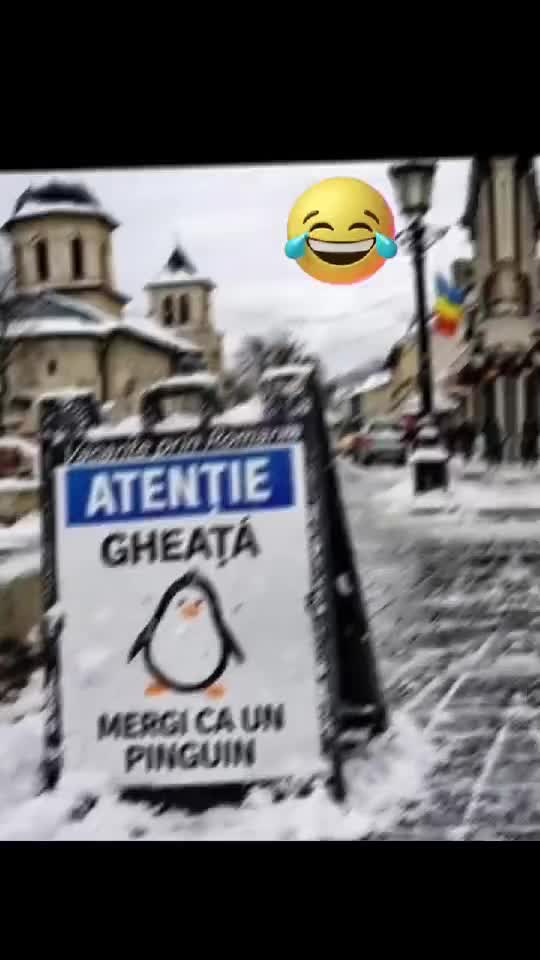 mergi ca pinguinul 🐧🐧🐧