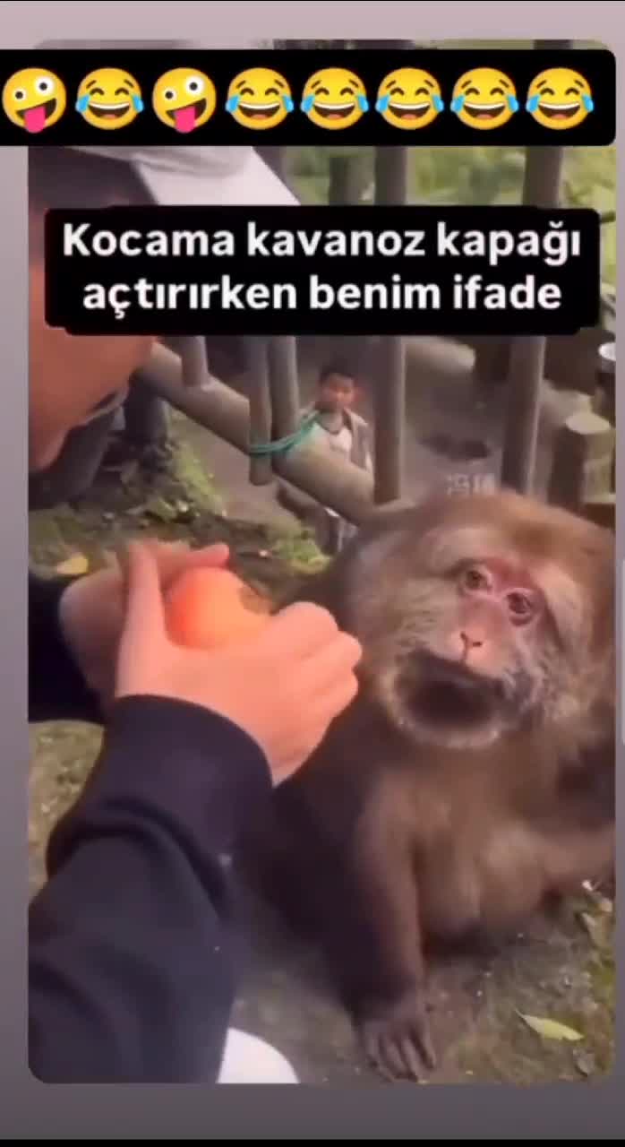 , , , , ,
, , ,
Share
, , ,
, ,
,
