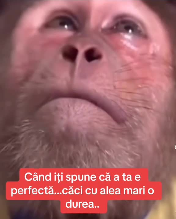 🤣🤣🤣