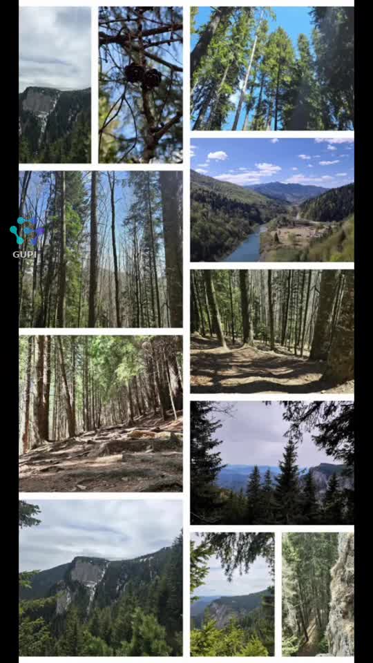 #liniste