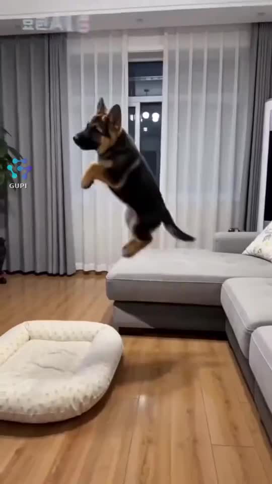 🤣