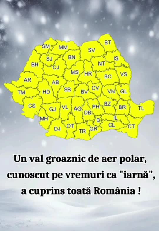 🤣🤣