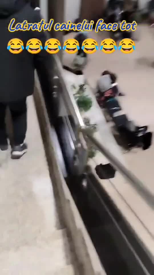 Care este diferența dintre gara de nord și aeroport ? 😂😂😂
