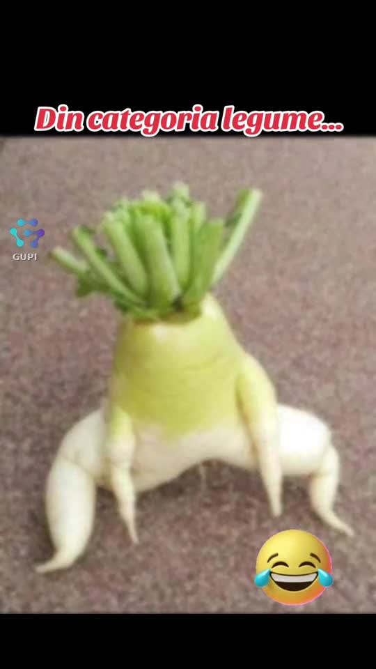 legume...😁😁😁