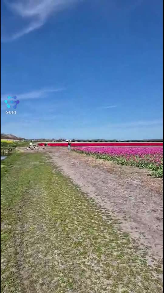 Frumos peisaj