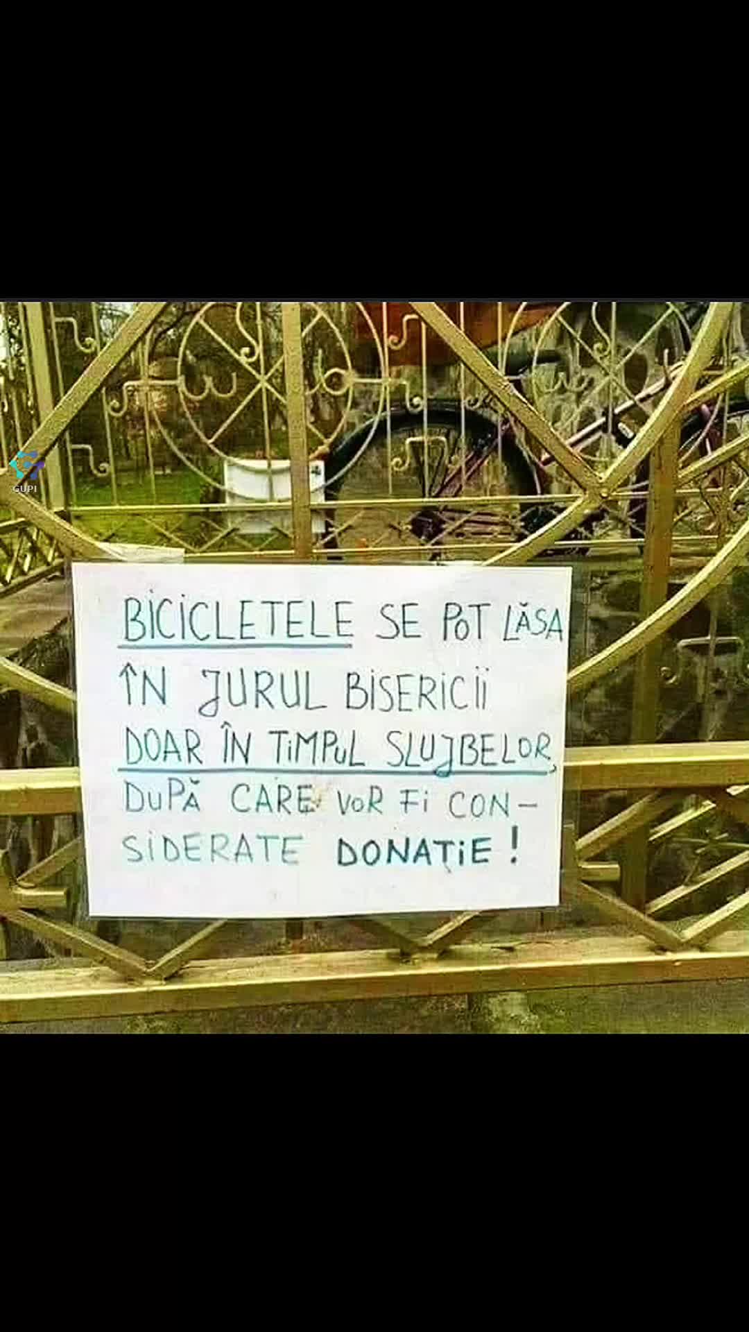 😂😂😂
