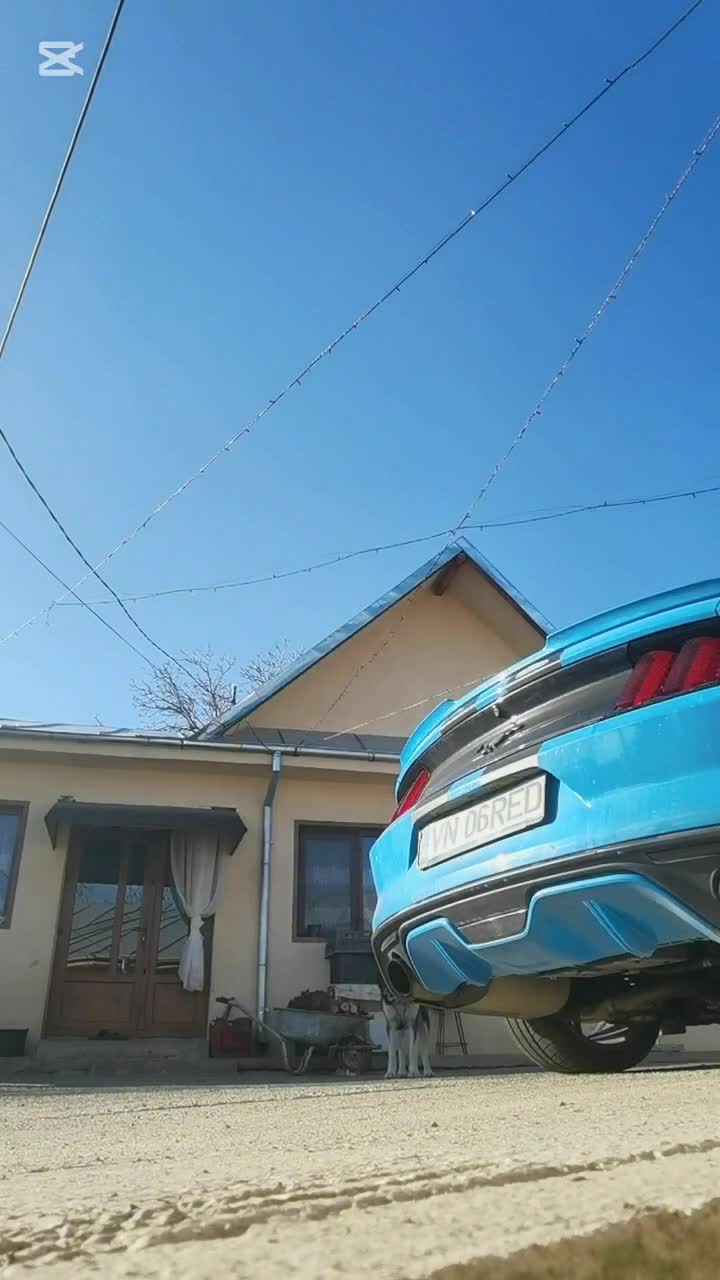 #mustang