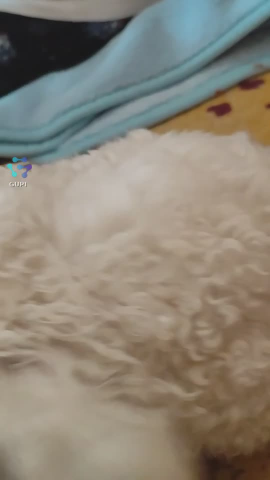 ♥️
