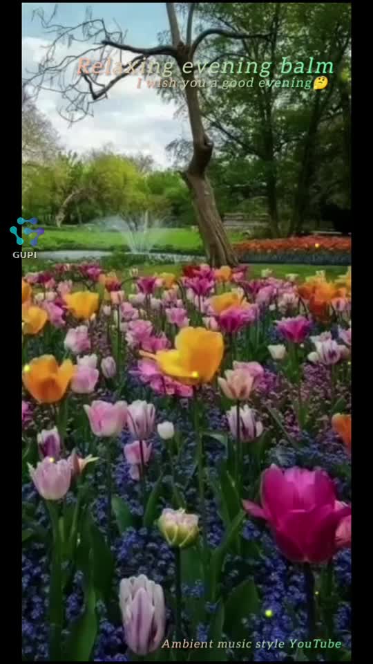 🤔I wish you a beautiful evening and a wonderful weekend with your loved ones🎧✋🥀