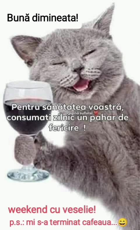 Bună dimineața!
