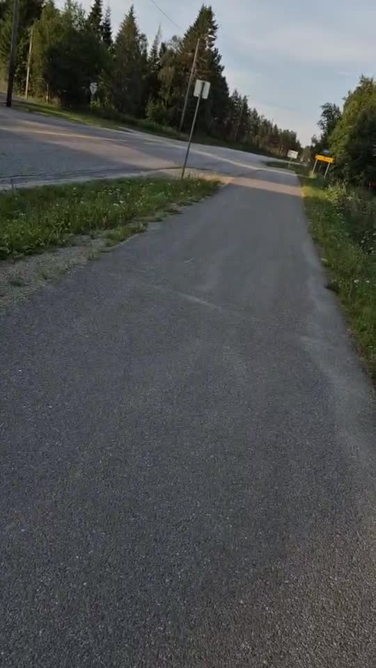 mișto gupi dar ....