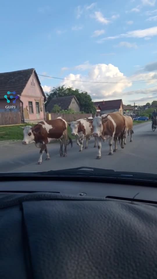 viata la tara