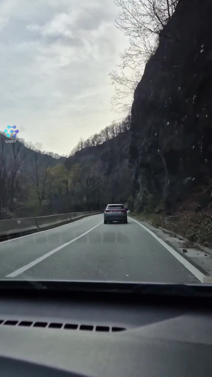 Ale ale