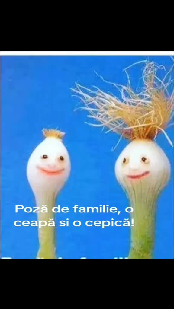 🤣🤣🤣