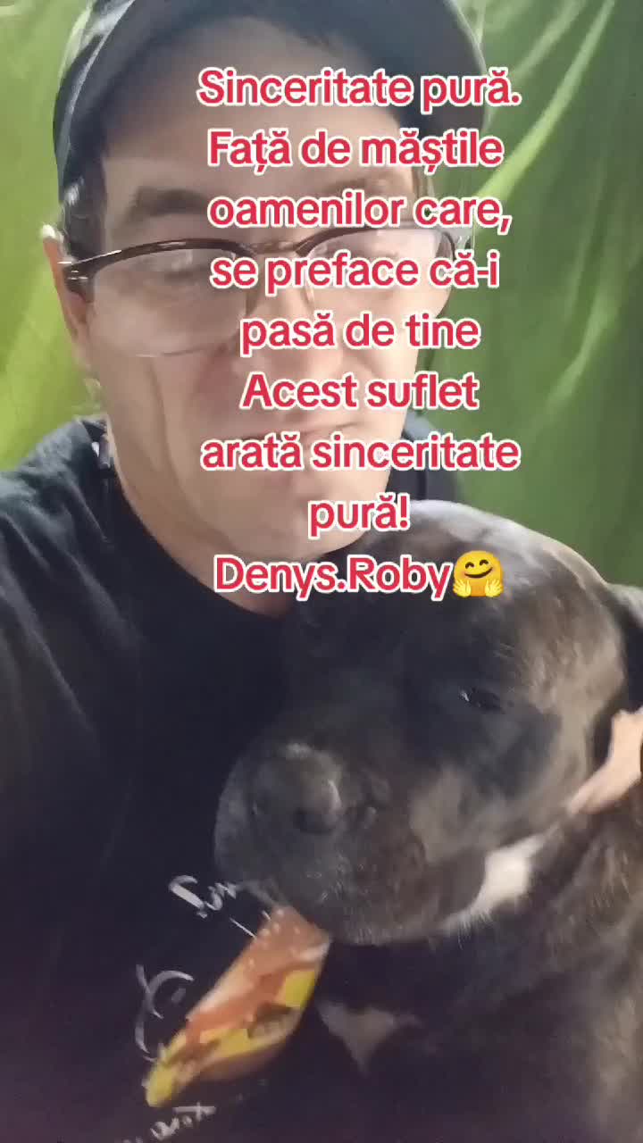 sinceritate pura față,de măștile oamenilor care se prefac că le pasă de tine,acest suflet arata sinceritate pură! Om Al Străzii (Denys.Roby)❤️🤗