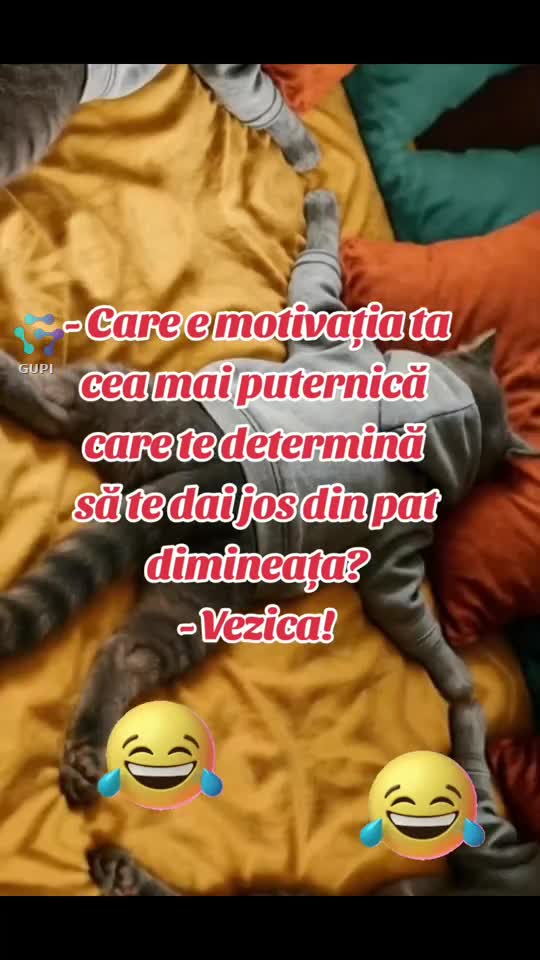 motivația mea ca să mă cobor din pat dimineața...😁😂😁