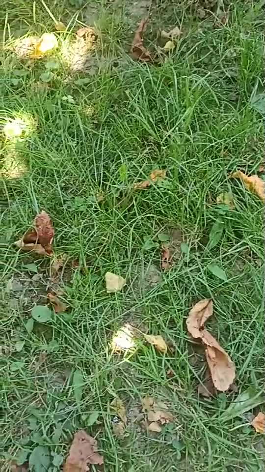 Nimic fara Dumnezeu!
