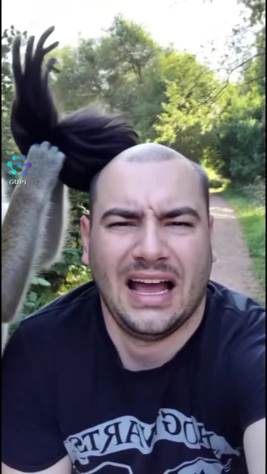 The monkey leaves me without a hair on my head 🤣🤣🤣🤣