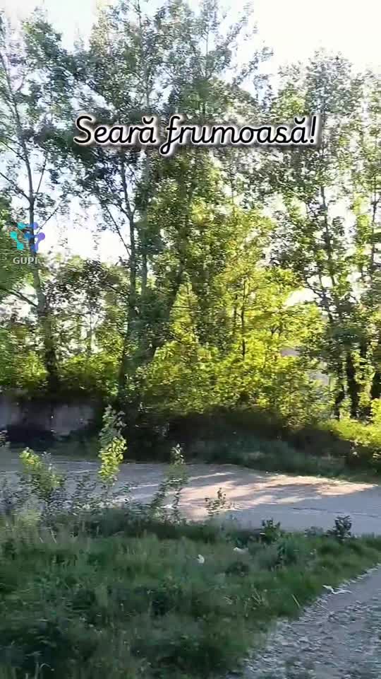 seară frumoasă!...☺️☺️☺️