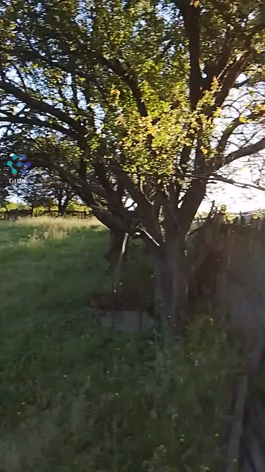 Cel mai șmecher clip